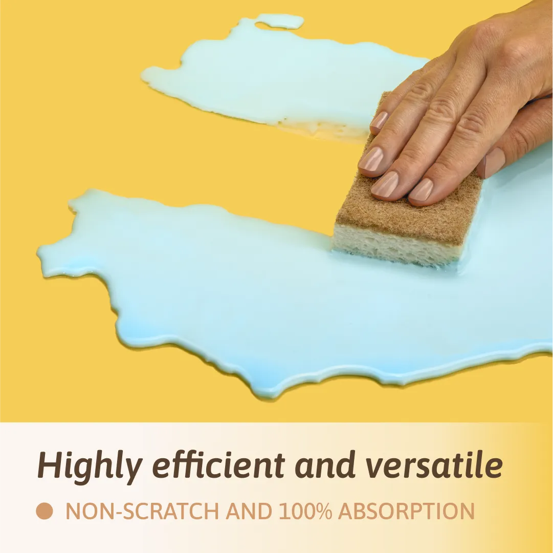 Sustainable Sponge Pack