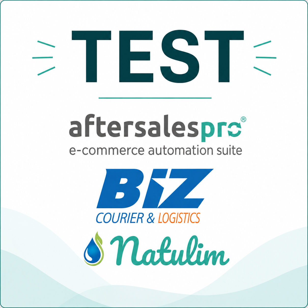 A promotional graphic with the word TEST at the top and three software/service logos below: aftersalespro, Biz Courier & Logistics, and Natulim, on a white background with light blue wave shapes.